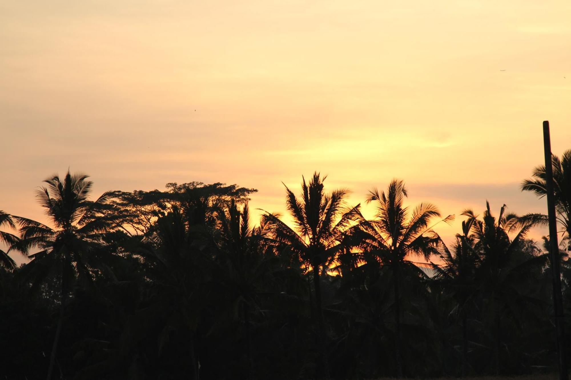 Ubud Kartini Hostel エクステリア 写真