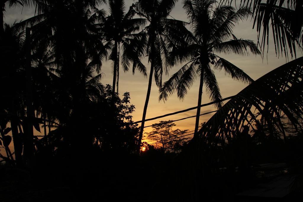 Ubud Kartini Hostel エクステリア 写真