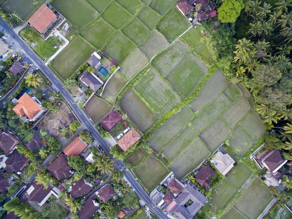 Ubud Kartini Hostel エクステリア 写真